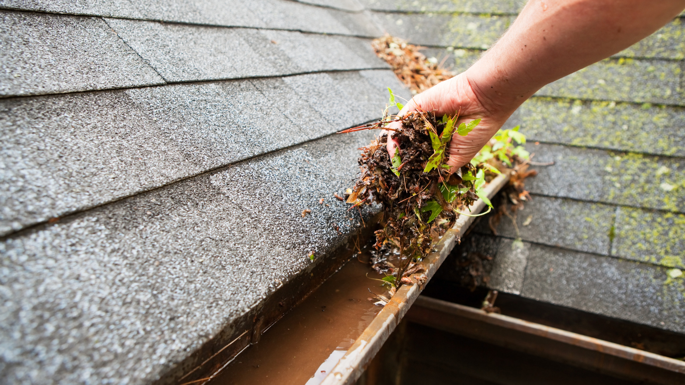 Gutter cleaning professionals
